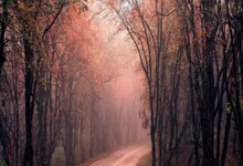 6月踢世俱杯还是U21欧洲杯？麦卡蒂：没想好，两个机会都很好.