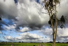 NG28官网：[英超]西汉姆联错失多次良机 伍尔弗汉普顿主场获胜.