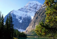 NG28官网：杨皓宇父亲：杨皓宇从小比较自律，不希望他现在过多受外界关注.