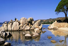 新华社：澳大利亚踢法克制国足战术，要拼也要头脑冷静.